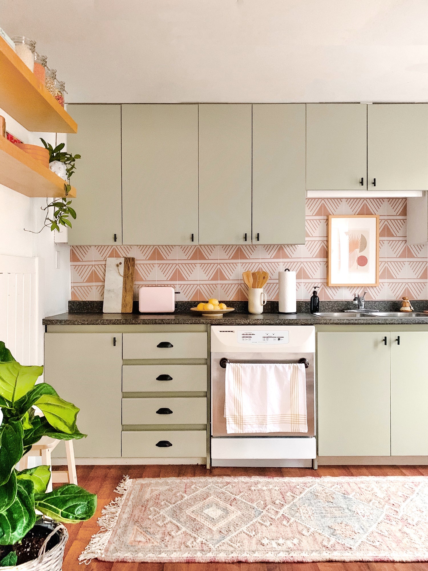 Rental Kitchen Shaman Makeover