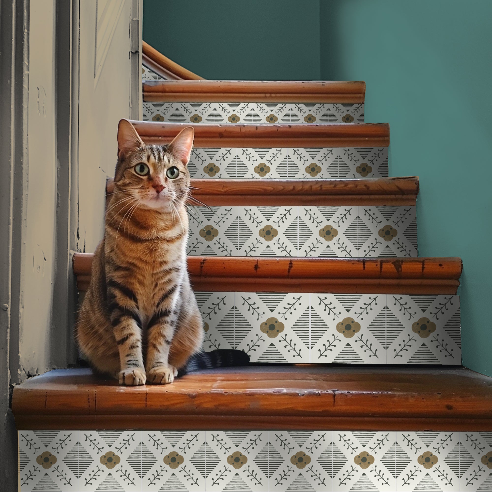 a cat is sitting on a set of stairs