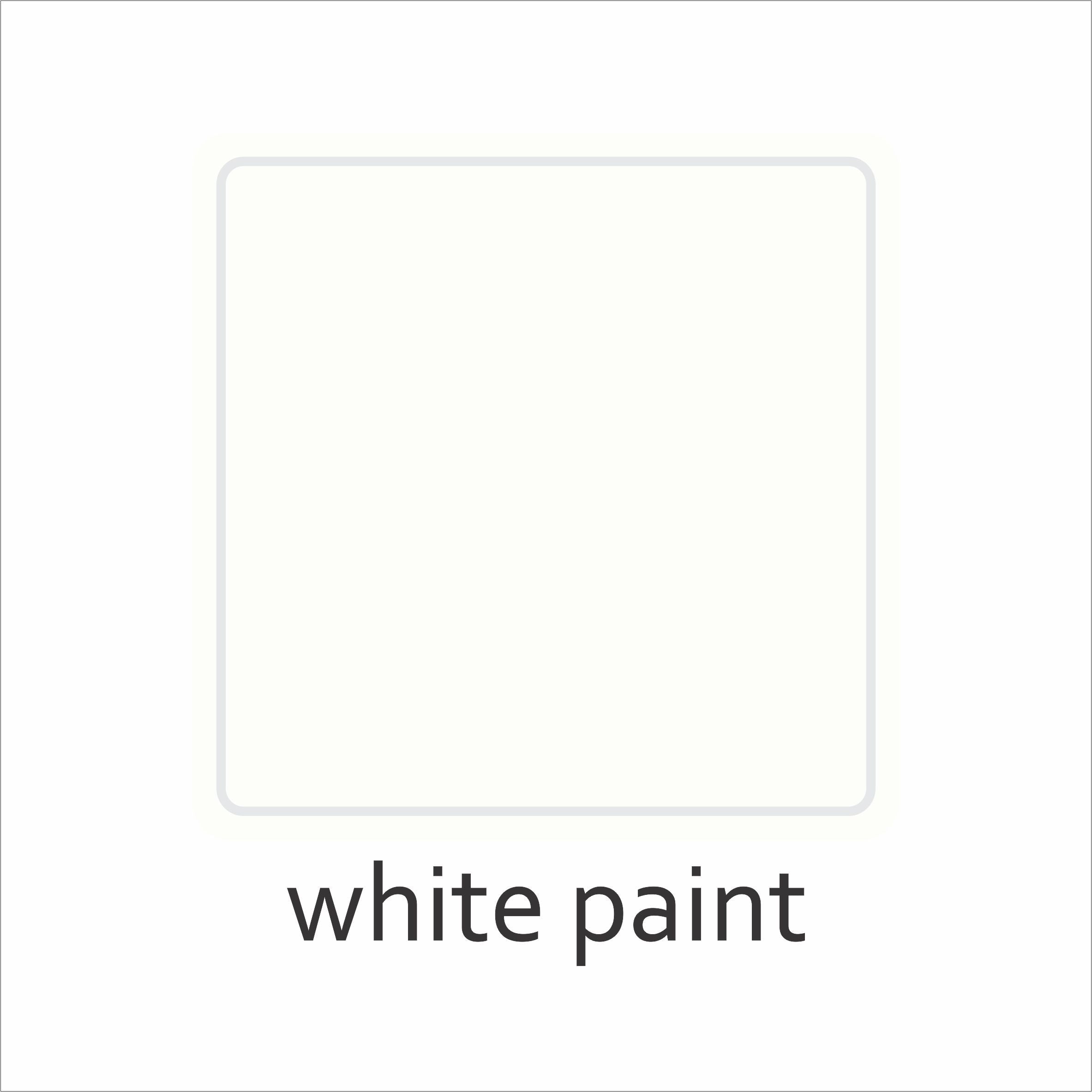 Solid Color - The Black & White