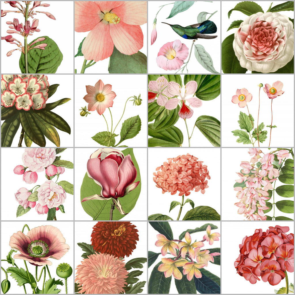 Botanic Floral Illustrations Vinyl Tile Sticker
