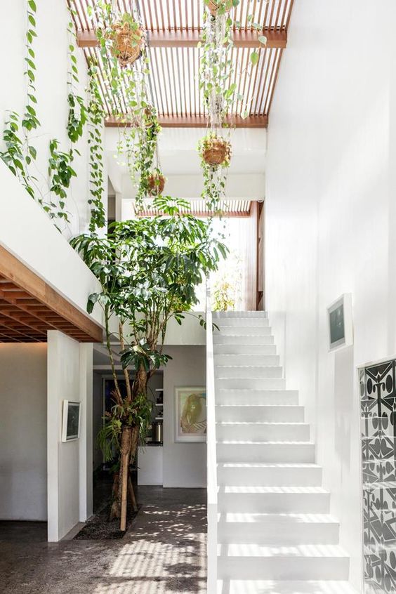 10 Renter-Friendly Biophilic Decor Ideas to Bring Nature Into Your Home