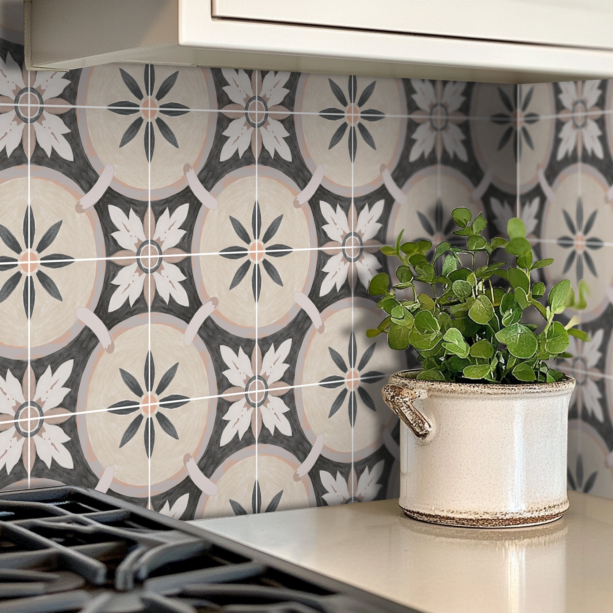 a potted plant sitting on top of a stove