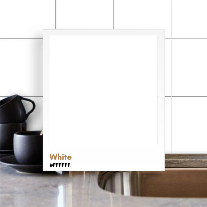 Solid Color - The Black & White