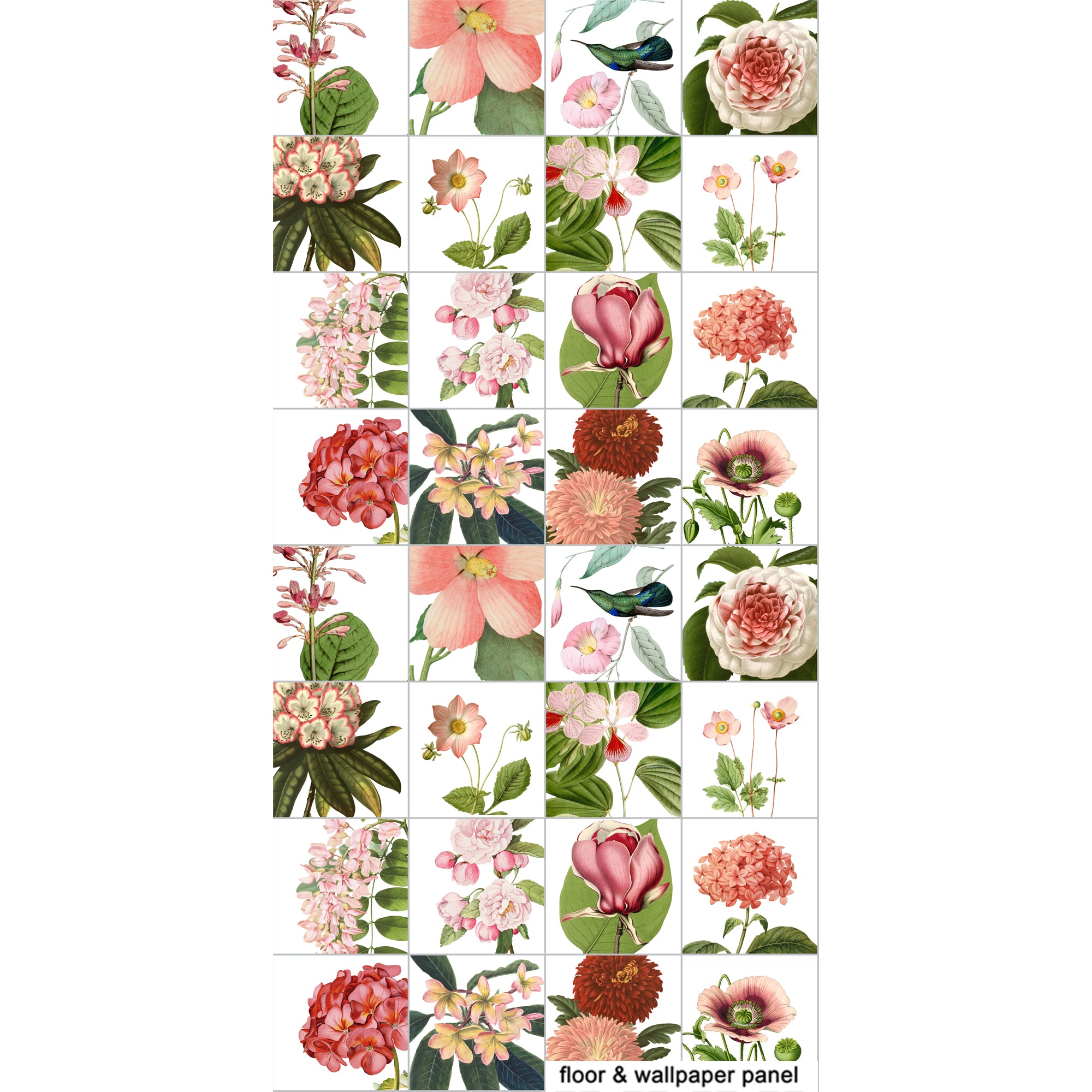 Botanic Floral Illustrations Wallpaper