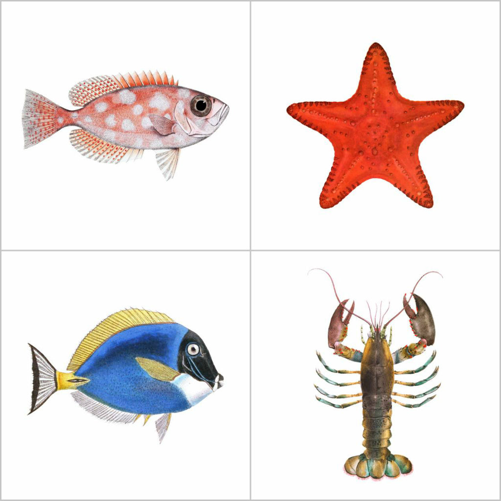 Vintage Fish & Sea-life Illustrations Vinyl Tile Sticker