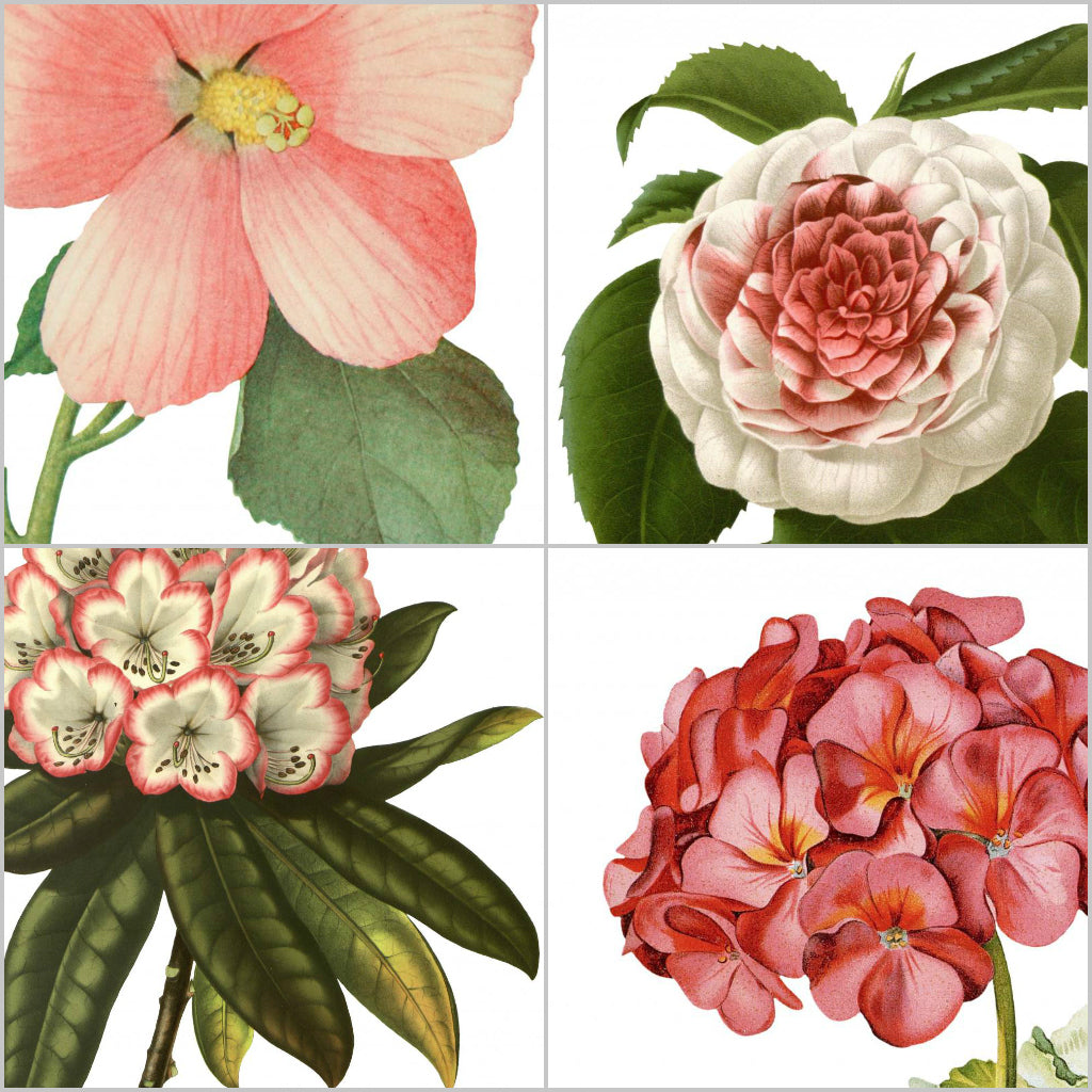 Botanic Floral Illustrations Vinyl Tile Sticker